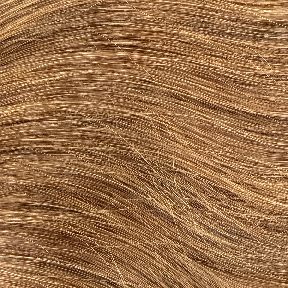 Warm Brown Tape-Ins - 70cm(S)