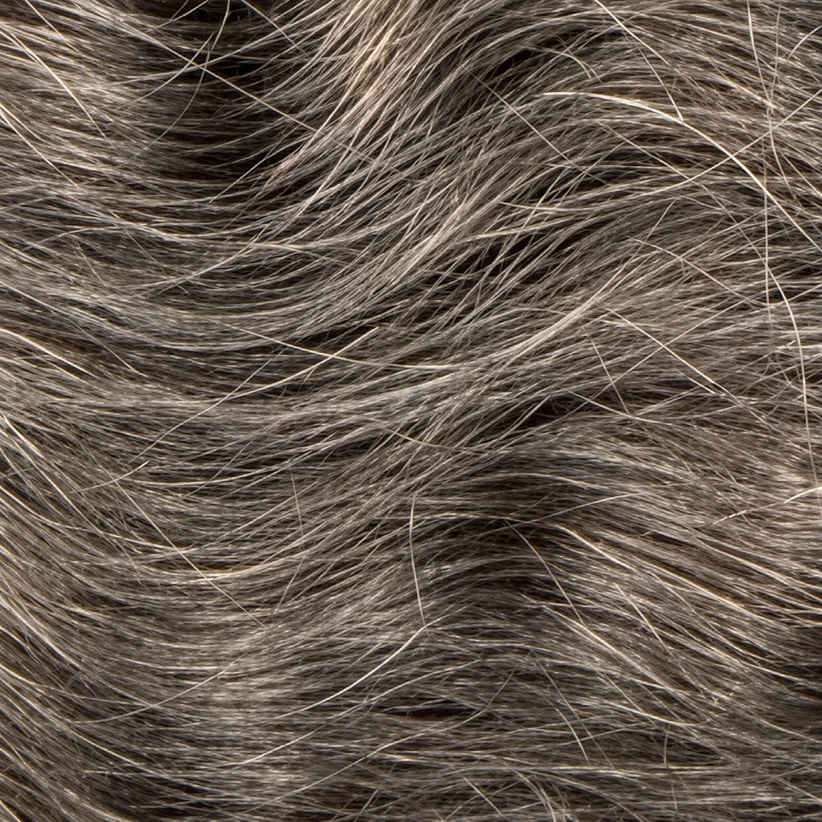 Black Weft - 70cm(C)