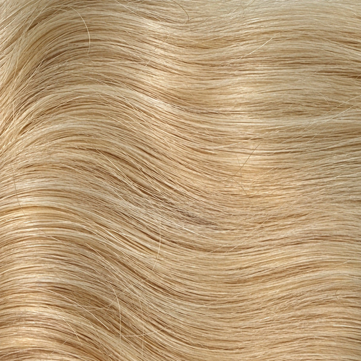 Golden Cream Blonde Weft - 60cm(W)