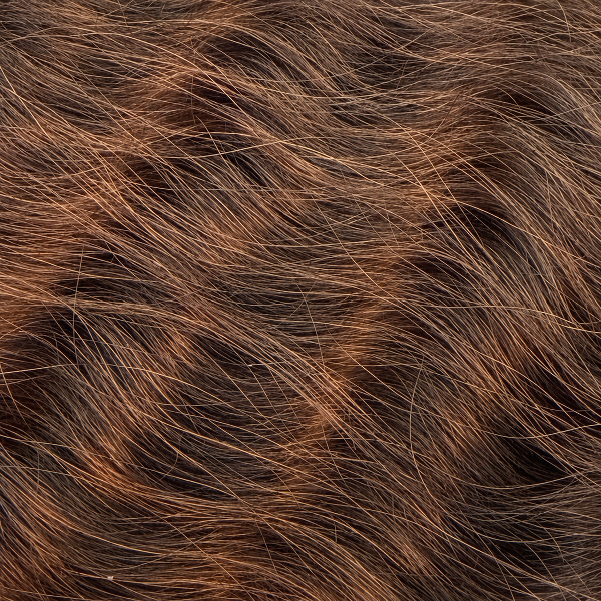 Medium Brown Natural Brown 4 Weft - 60cm(C)