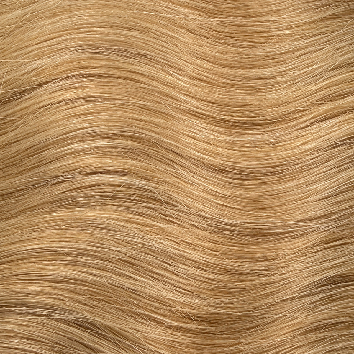 Golden Blonde 9 Weft - 70cm(W)