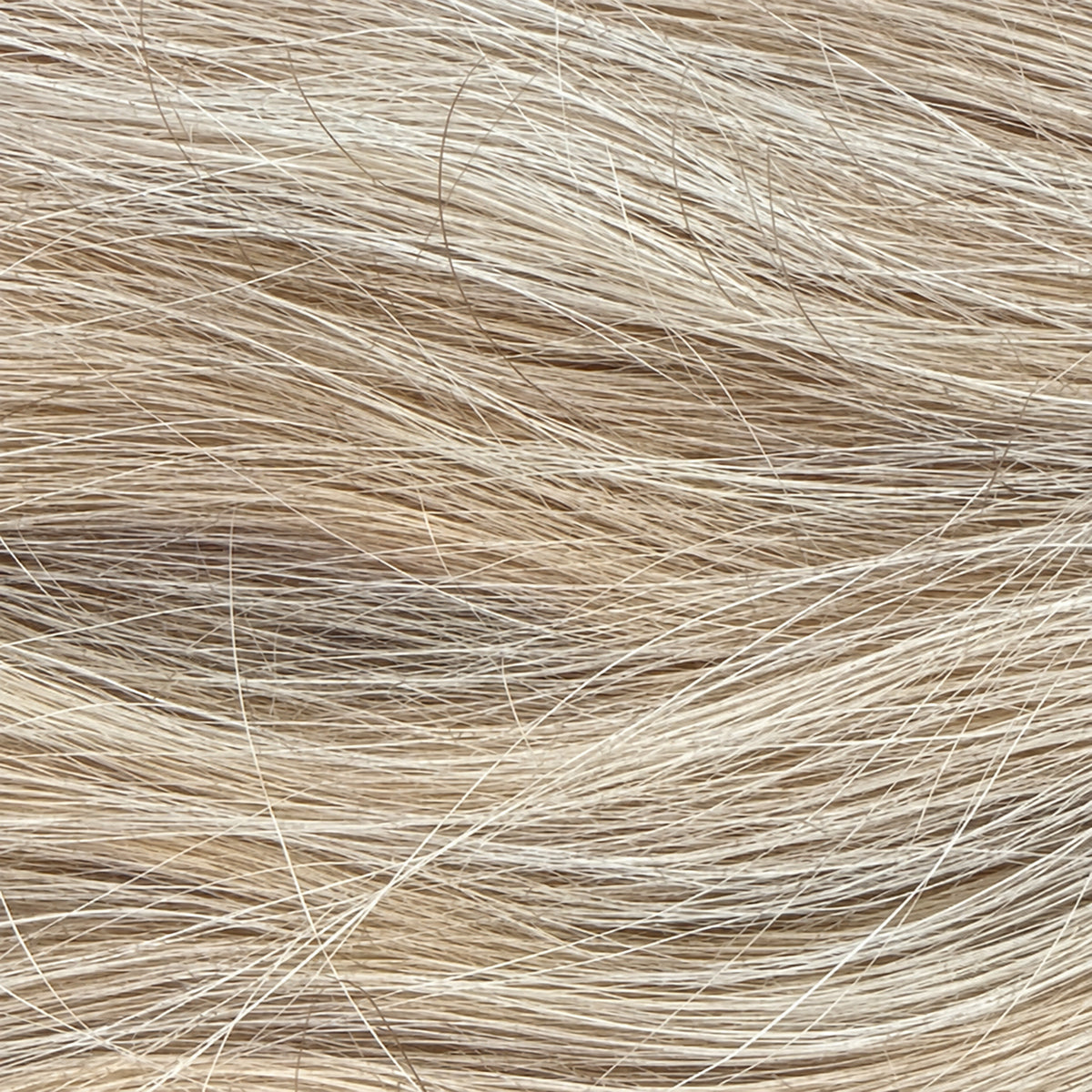 Honey Blonde Weft - 70cm(W)