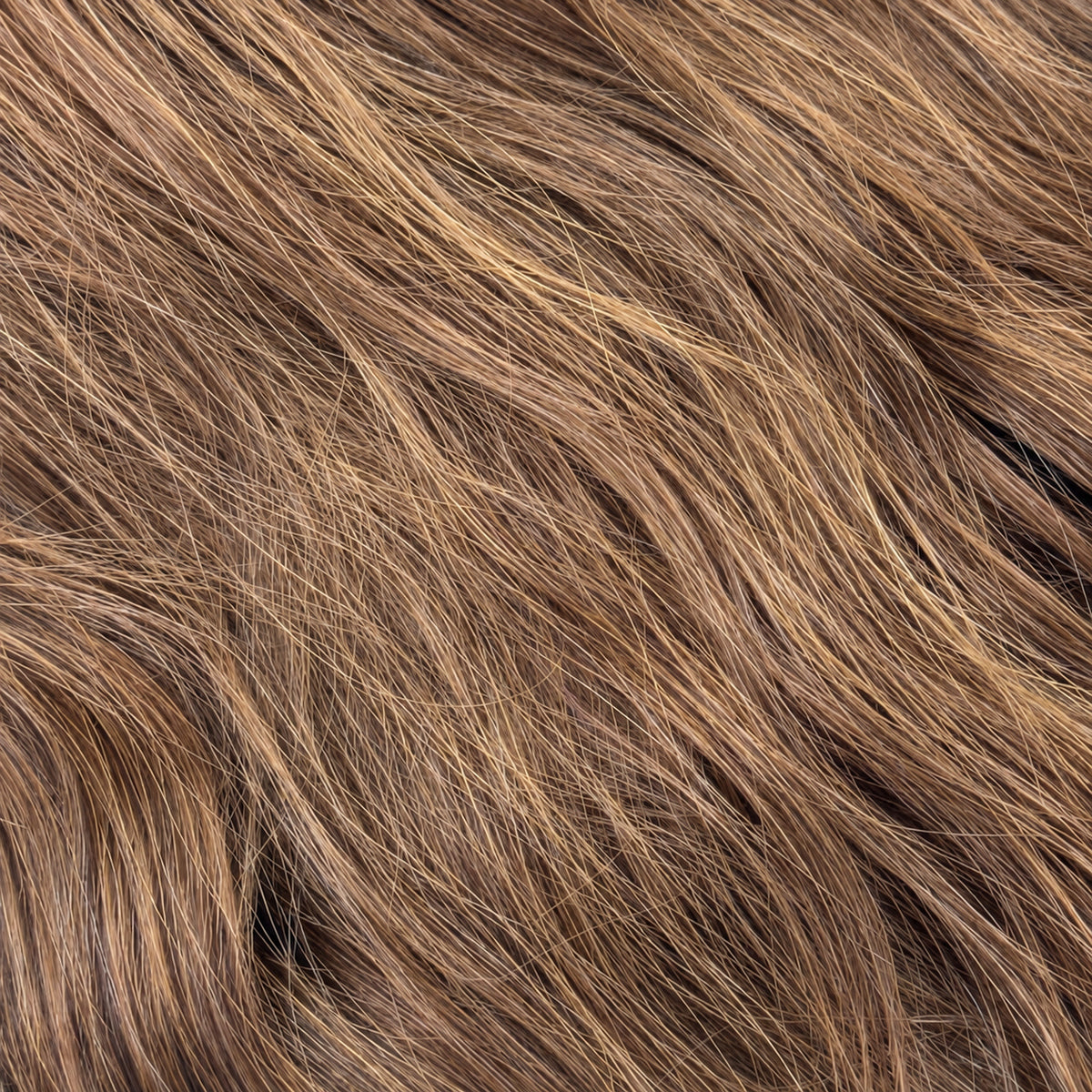 Medium Brown K-Tips - 70cm(W)