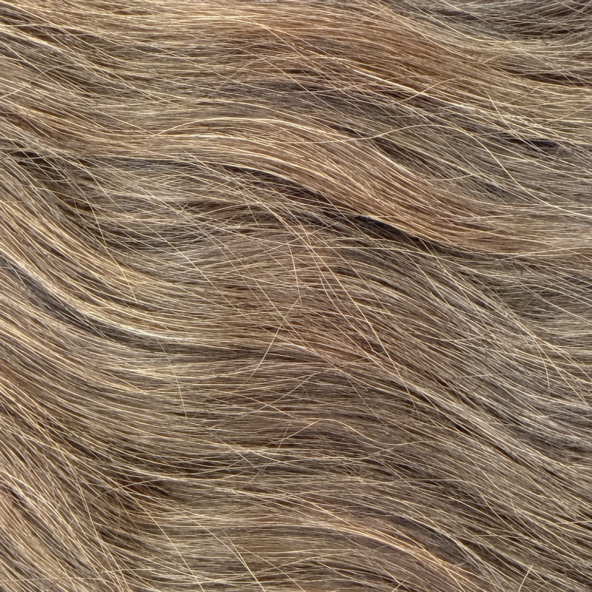 Ash Brown K-Tips - 70cm(W)